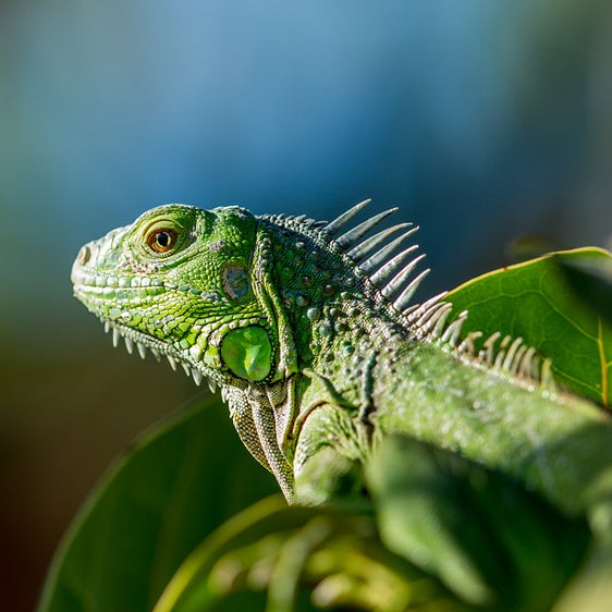 Jewelry Turning You Green? Let's Talk About It!