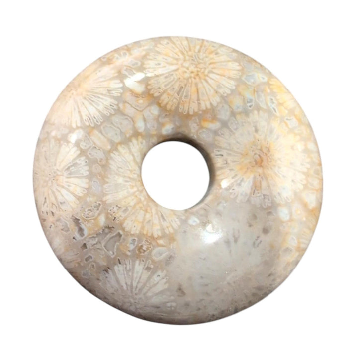 30mm Fossil Coral Donut Pendant – Natural Agatized Coral Stone – Flower Pattern Coral Stone – Gemstone Donut Bead