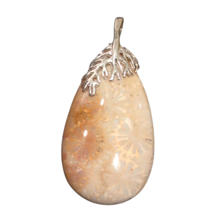 Fossil Coral Teardrop Pendant With Sterling Silver Clasp – Natural Agatized Coral Gemstone – 50 mm x 28 mm Coral Fossil Jewelry